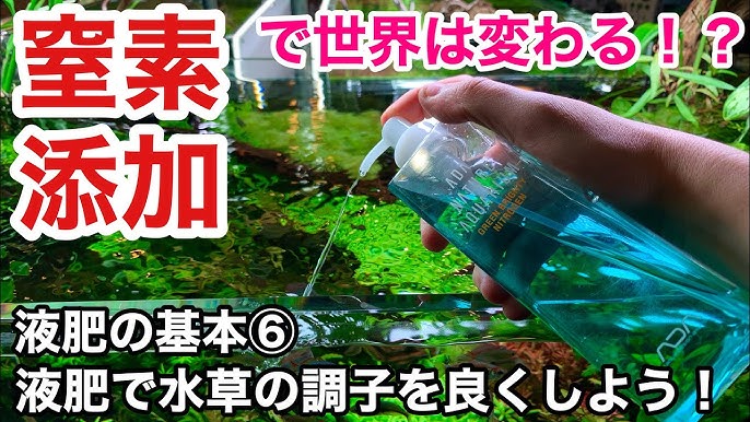 水草水槽での液肥と固形肥料の正しい使い分け方法と各種メーカーの底床肥料の紹介 Adaネイチャーアクアリウム水槽立ち上げ初心者 追肥と液体肥料 の使い方と添加量 水草の育て方 イニシャルスティック Youtube 水草水槽での液肥と固形肥料の正しい使い分け方法と各種メーカーの底床肥料の紹介 Adaネイチャーアクアリウム水槽立ち上げ初心者 追肥と液体肥料 の使い方と添加量 水草の育て方 イニシャルスティック Youtube