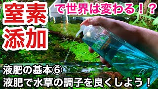 水草の状態を液肥添加で良くしよう 液体肥料の基本 窒素添加 Adaネイチャーアクアリウム水草水槽立ち上げ初心者 水草 の植え方 育成 育て方 トリミング 底床肥料とソイル リン カリウム Youtube