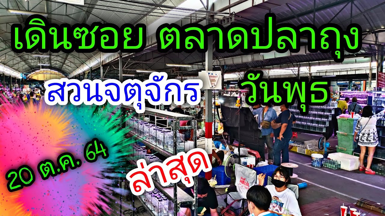 ตลาด ขายส่ง จตุจักร กลางคืน  Update 2022  ตลาดปลาถุง จตุจักร ล่าสุด 20 ต.ค. 64#NCO544