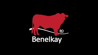 LOT 26 BENELKAY UNIX U106 P