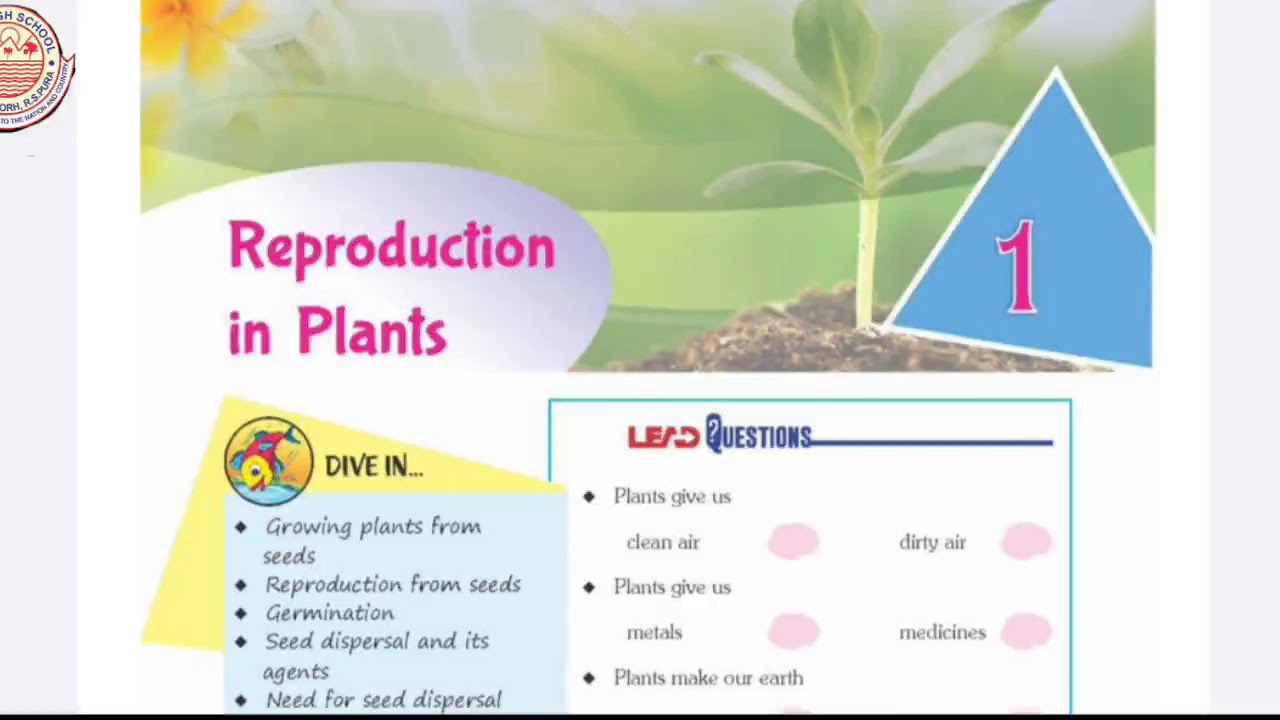 Class 5th Science Reproduction In Plants Chapter 1 Youtube