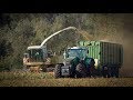 Claas Jaguar 960 & 880 häckseln Mais für eine Biogasanlage