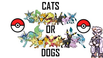 Are Eevee and the Eeveelutions Cats or Dogs? | Pokemon Talk