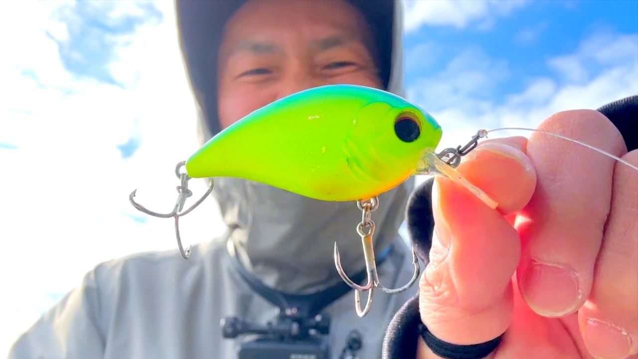 冬のクランクベイトがマジで熱いぞ！厳しい時期こそクランクを巻き倒せ！