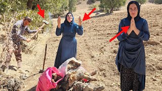 It's unbelievable!😍Susan and her husband came back with a huge pile of firewood🪓 screenshot 1
