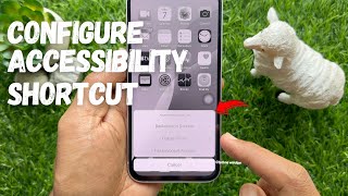 How to Configure Accessibility Shortcut on iPhone