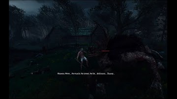 Witcher 3 - Minimalist Challenge* - Bitter Harvest | Return to Crookback Bog | Following the Thread