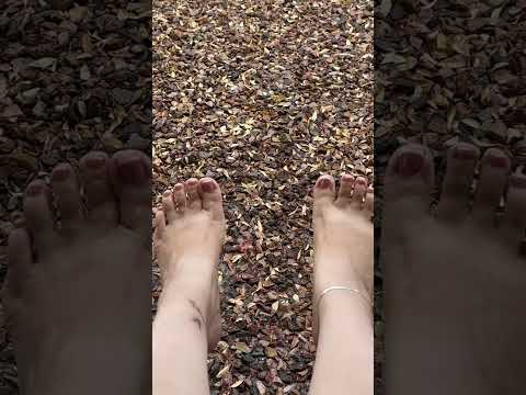 Rain #asmr #rain #wetfeet #latina #best #asmrsounds #rainsounds #barefoot #satisfying #sleep #like