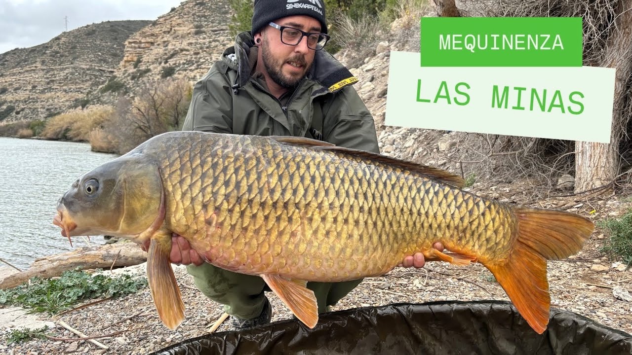 LAS MINAS// ME QUITO EL BOLO// MEQUINENZA