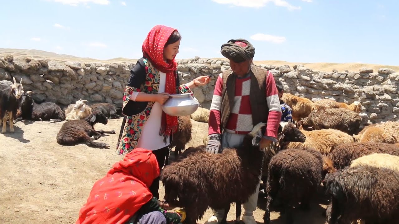 ایلاق شیبرتو ولایت بامیان Afghanistan Bamyan