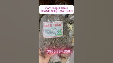 công dụng và cách dùng cây nhân trần, bao nhiêu tiền 1 ký . #nhântrần #nhantran #thanhnhiet #matgan