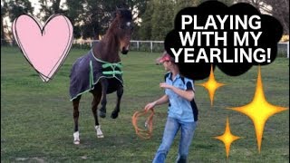 PLAYING WITH MY YEARLING! Working With Kai #9!