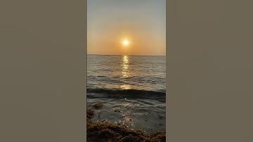 قال تعالى : (أَمْ لَهُمْ إِلَٰهٌ غَيْرُ ٱللَّهِ ۚ سُبْحَٰنَ ٱللَّهِ عَمَّا يُشْرِكُونَ) سورة الطور .