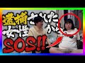 【緊急生放送】コレコレさんの動画で逮捕された女性からやばい事になったと連絡！本人と通話する！