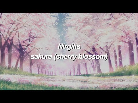 Nirgilis - sakura | Eureka Seven OP 4 FULL subtitulado al español y romaji