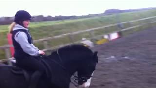 Meet Hetty♥ [The Super Cob!]