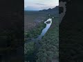 Salt River from Above | DJI Flip Captures Arizona's Hidden Green Corridor