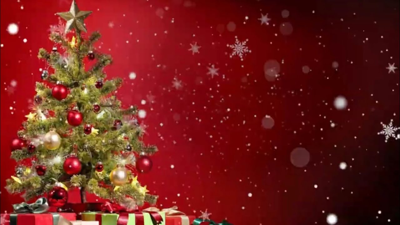 Roada vos desitja Bones Festes!!