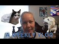 Weekly Vlog! | Life in PA | Truck Update