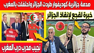 الجزائر تستعين بخبرة فوزي لقجع بعد الاقصاء من الكان وتستعد للتعاقد مع مدرب منتخب المغرب سابقا