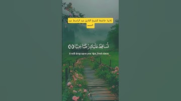 الشيخ القارئ عبدالباسط عبدالصمد #الرحمن #اكسبلور