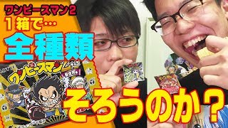 【 大人買い 】 全種類そろう？ 