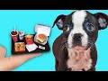 Making Tiny Foods for a Tiny Rescue Dog 🍟🐶 McDonalds mini 🍔