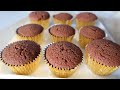 SIMPLE CHOCOLATE SPONGE CUPCAKES | SOFT AND FLUFFY CUPCAKES