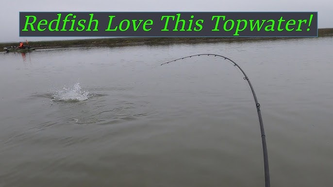 Redfish on a Yoyito handline reel 