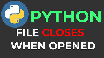 Python File Closes When Opened | How To Fix Easy Way
