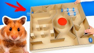 ЛАБИРИНТ ИЗ КАРТОНА ДЛЯ ХОМЯКА 🐹 DIY | СДЕЛАЛА ОГРОМНЫЙ ЛАБИРИНТ ДОМА СВОИМИ РУКАМИ