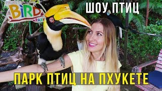 Парк Птиц на Пхукете - Крокодилы, Страусы, Кролики, Шоу Попугаев Парк Птиц на Пхукете - Крокодилы, Страусы, Кролики, Шоу Попугаев