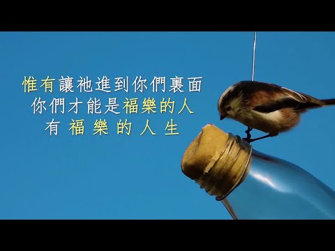 31福樂人生