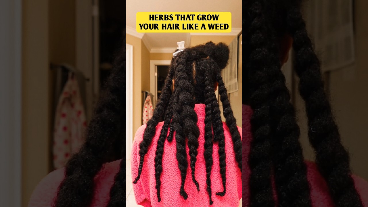 Herbs That Will Grow Your Hair 🌱 #haircare #hair #hairgrowth #hairgrowthtips #herbal #herbs #shorts