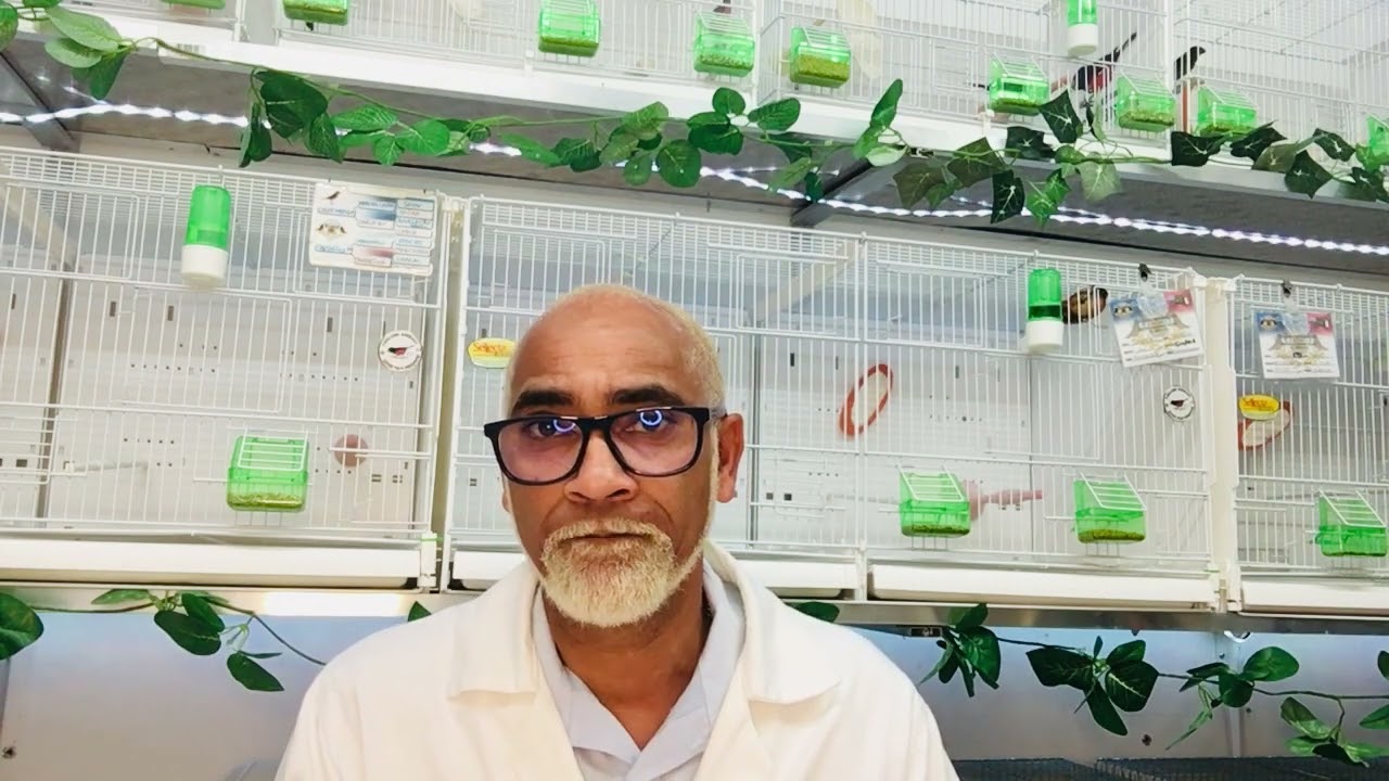 Le rôle et l’importance des pré et probiotiques