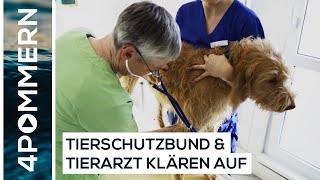 Giftköder, Rasierklingen &amp; Haushaltsmittel – Gefahren für den Hund | Greifswald TV