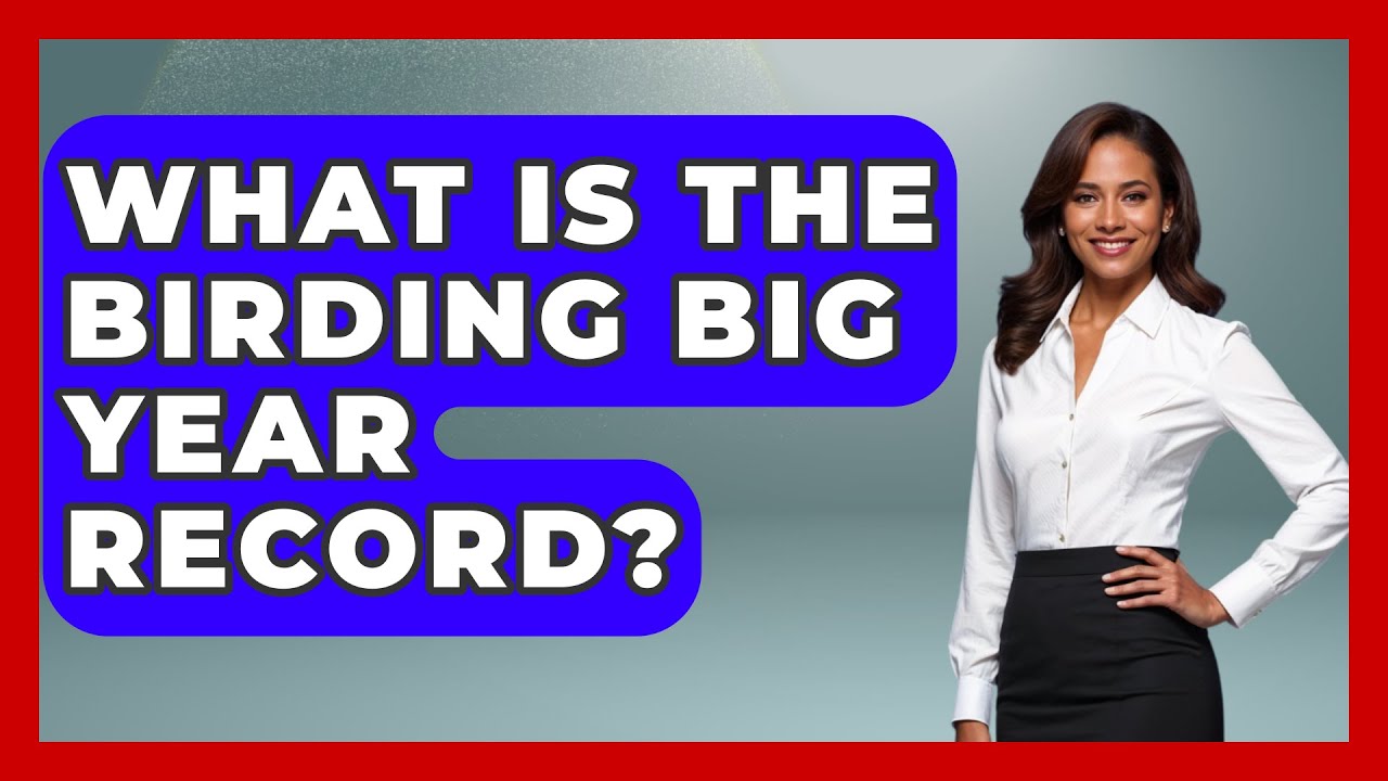 What Is The Birding Big Year Record? - Bird Watching Diaries