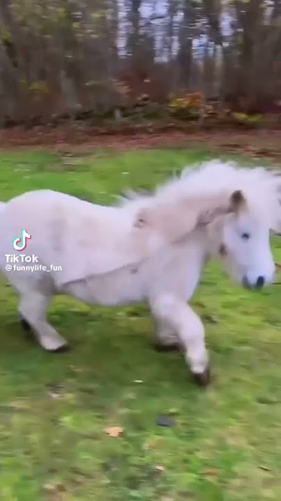 MAKIBAO in real life 😂 #shorts