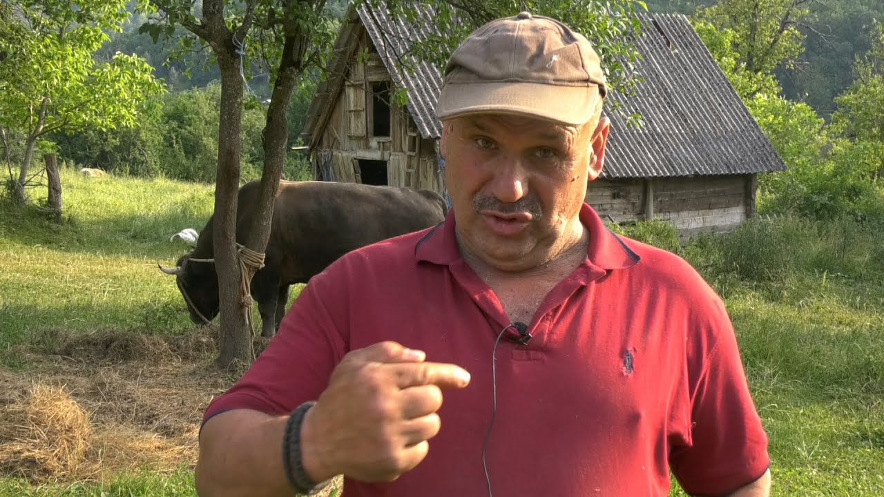 - PRODATI ZA DOBRE PARE, ILI VODATI PO KORIDAMA, ZMAJ I MRKONJA 2025