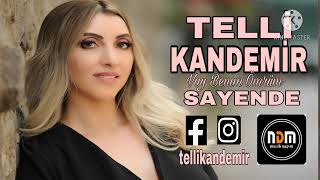 Telli Kandemir - Sayende 2022 Resimi