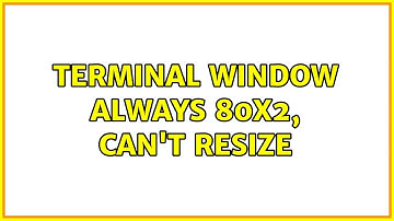 Ubuntu: Terminal window always 80x2, can