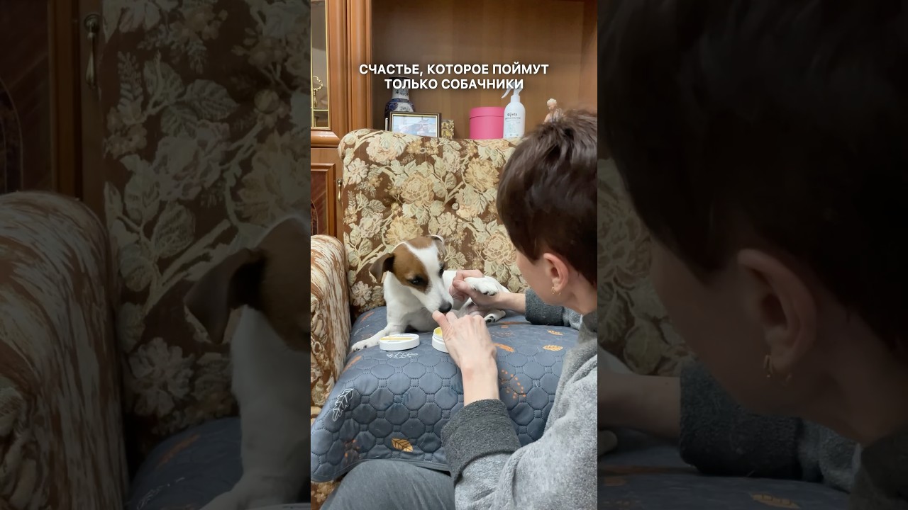 Счастье в мелочах 🐶 регенерирующая мазь (для лап и носика) с лечебным эффектом на wb: 271212407