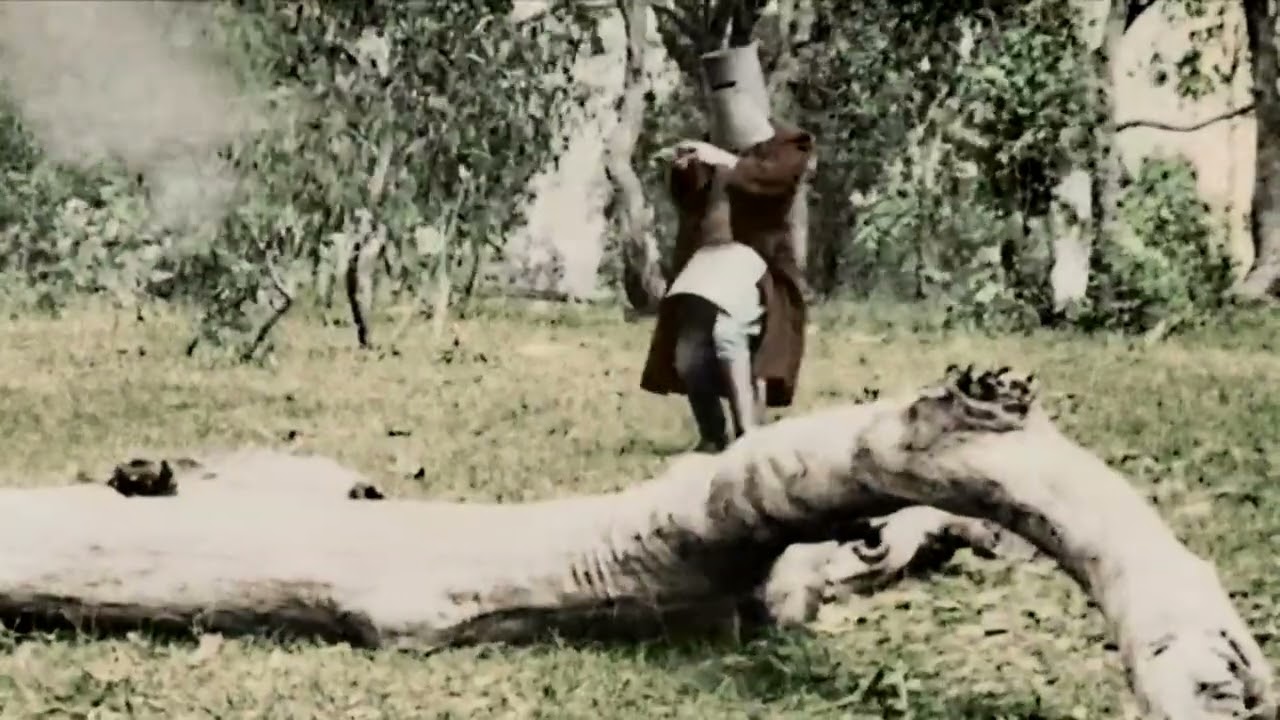 The Kelly Gang Film  1906 in Colour