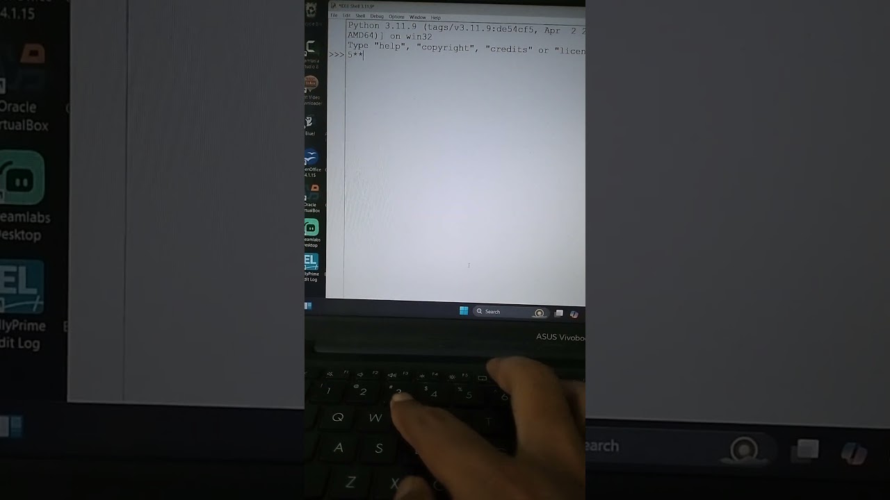 how to predict the output in python