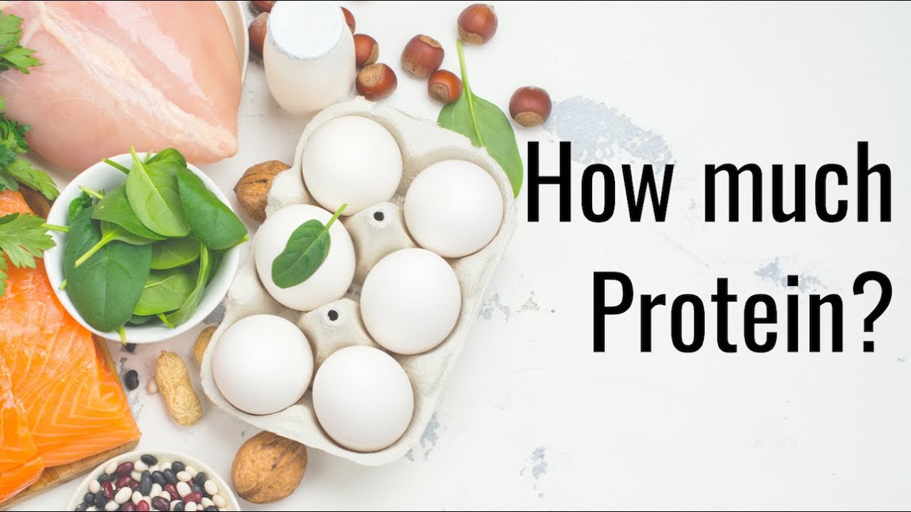 Episode 382 - How Much Protein Does Your Body Need?