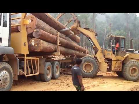 Truck Logging MAN TGS 40.440 6x6 dengan Kerja sama team di Medan berat.