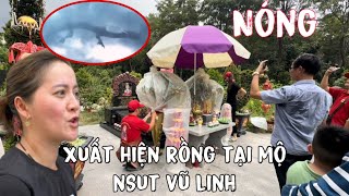 Nóngxuất Hiện Rồng Tại Mộ Nsut Vũ Linhae Làm Gấp Việc Này