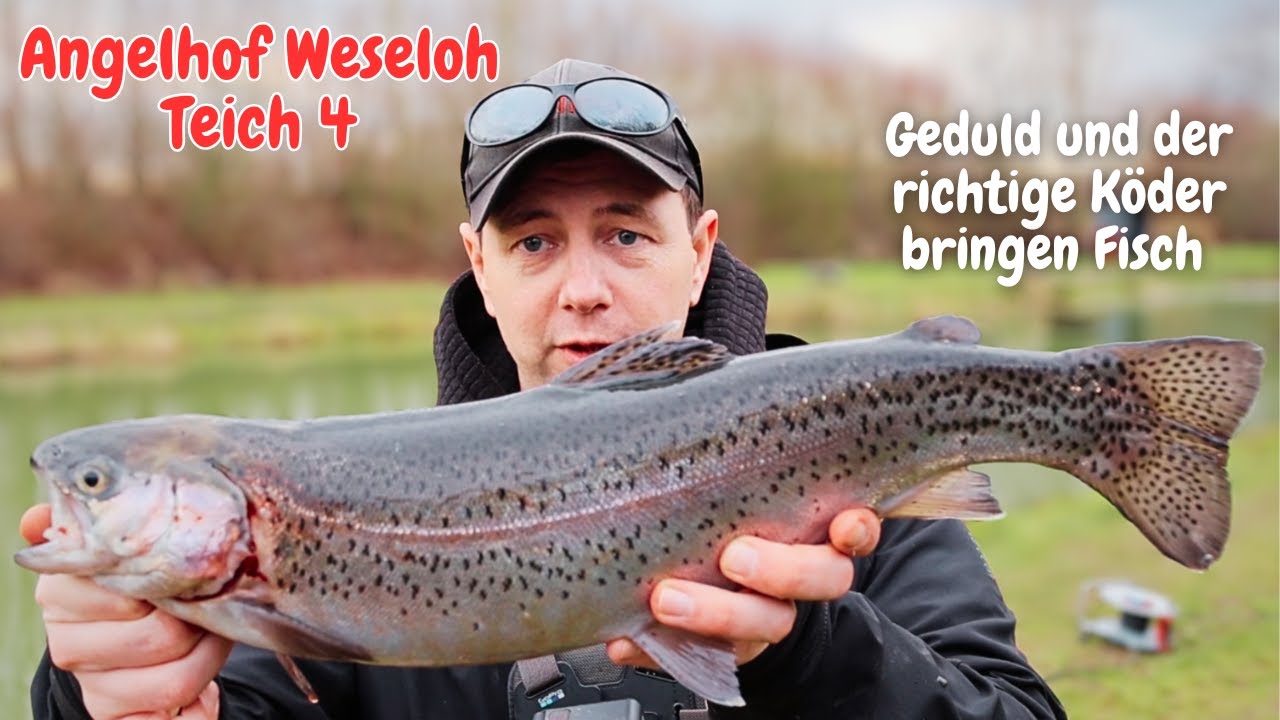 Forellenangeln im Winter Lachsforellen Angeln Gummiköder Powerbait am Forellensee Angelhof Weseloh