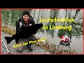 Lachsforellen im Winter||Angelpark Limburg/Linter||Spoon||Gummi