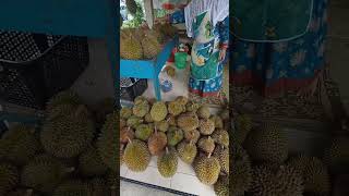 Durian Pilihan Langsung Dari Candimulyo Magelang durian duren candimulyo magelang